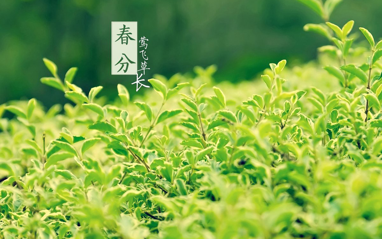 春分，所有的美好都會如約而來